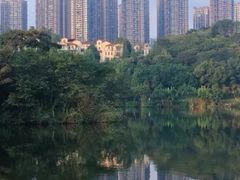 -重庆彩云湖湿地公园