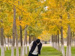 -汉长安城未央宫国家考古遗址公园