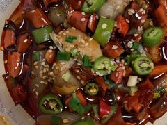 跳跳蛙-付小姐在成都(中山公园店)