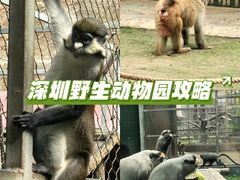 -深圳野生动物园