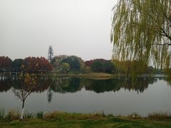 -巡塘古镇