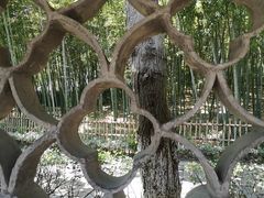 -乌镇东栅景区