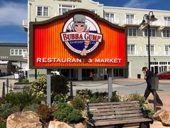 -Bubba Gump Shrimp