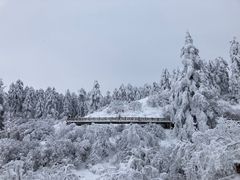 -瓦屋山景区