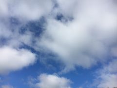 -滴血救世主教堂