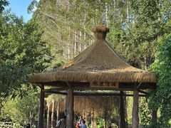 -揭东万竹园旅游景区