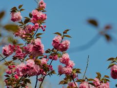 -黔灵山公园