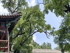 -香山公园