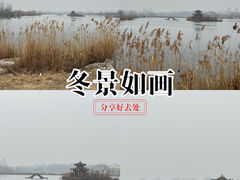-天龙湖公园