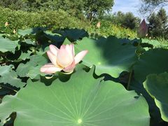 -北京宽沟会议中心