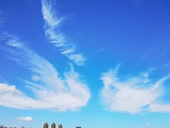 -小麦岛公园