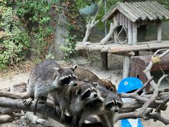 -宁波野生动物园
