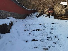 -阳台山自然风景区