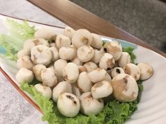 野生珍珠马蹄-鲜潭蒸汽石锅鱼(五道口购物中心店)