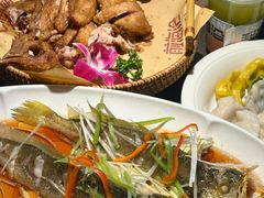 -前海沿·青岛菜(大拇指广场石老人店)