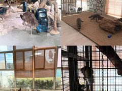 -海合安武汉极地海洋公园