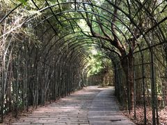 -东海大峡谷