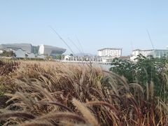 -琅岐红光湖公园