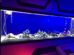 -MOJO密室逃脱(中街旗舰店)