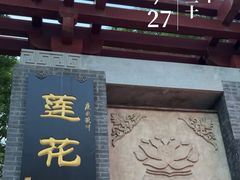 -莲花池公园