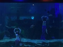 -石林冰雪海洋世界