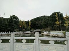 -山湖温泉
