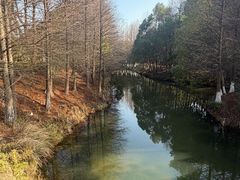 -八大山人梅湖景区