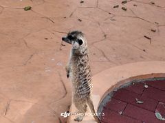 -南戴河国际娱乐中心