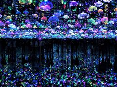 -上海梵高星空艺术馆(南京路旗舰店)