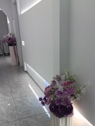 -白月光皮肤管理·德国LDM