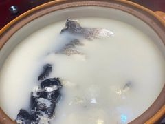 -森谷美食公园(杨行店)