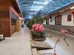 -森谷美食公园(杨行店)