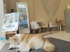-YCHL Studios健身工作室(市二宫店)