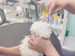 -中农大我爱我爱动物医院·核磁CT·猫病·24小时夜诊中心(石佛营店)