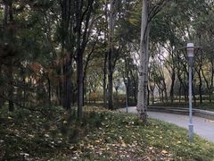 -北极寺公园
