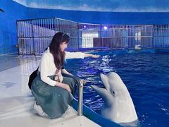 -泉城欧乐堡海洋极地世界