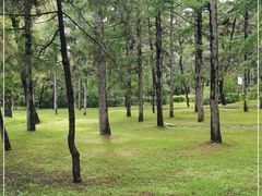 -长春市南湖公园