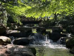 -中国茶叶博物馆(双峰馆区)