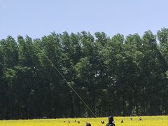 -天津武清北运河郊野公园房车露营地