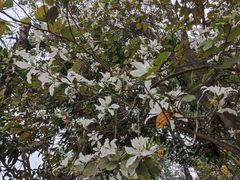 -南国桃园旅游度假区