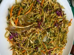 -东北田记家常菜