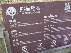 -都江堰中华大熊猫苑