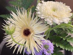 -大拙里·精致融合菜(沙湖桃源国际店)