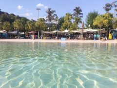 -重庆海昌加勒比海水世界