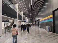 -望京西(地铁站)