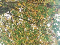 -华南国家植物园-售票处