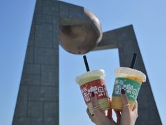 -南澳岛打卡果汁冰公司