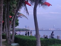 -深圳湾公园(南山区)