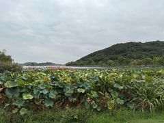 -南北湖风景区