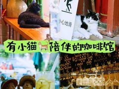 -萤火虫咖啡(后海店)
